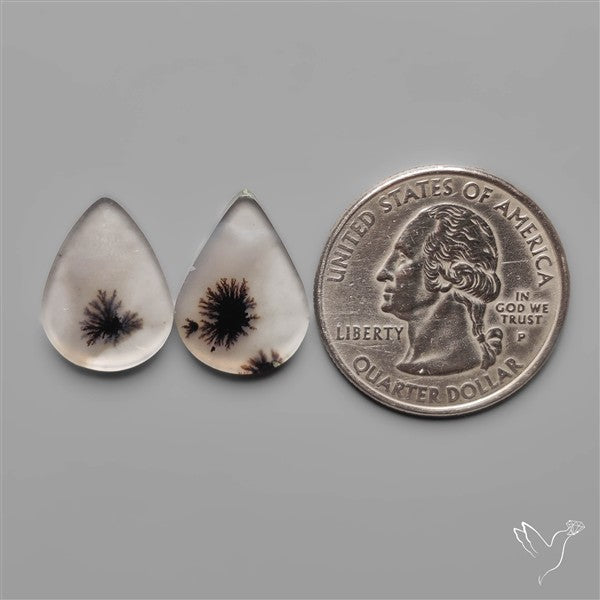 Scenic Dendritic Agates Pair
