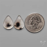 Scenic Dendritic Agates Pair