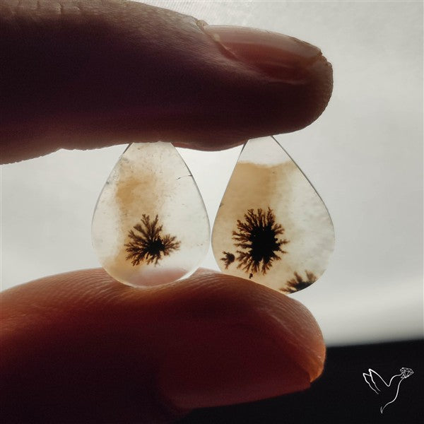 Scenic Dendritic Agates Pair