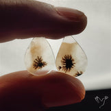 Scenic Dendritic Agates Pair