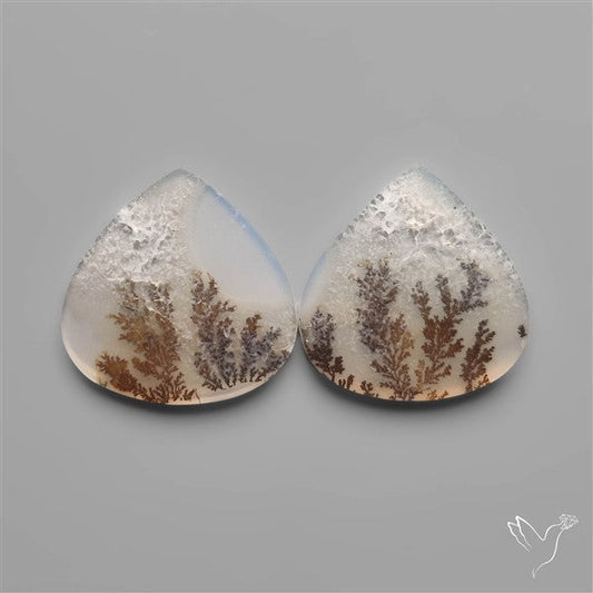 Scenic Dendritic Agates Pair