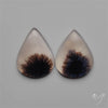 Scenic Dendritic Agates Pair