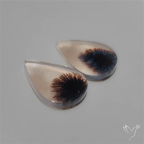 Scenic Dendritic Agates Pair