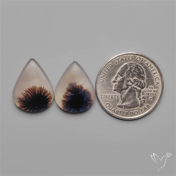 Scenic Dendritic Agates Pair