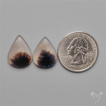 Scenic Dendritic Agates Pair