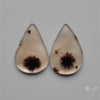 Scenic Dendritic Agates Pair