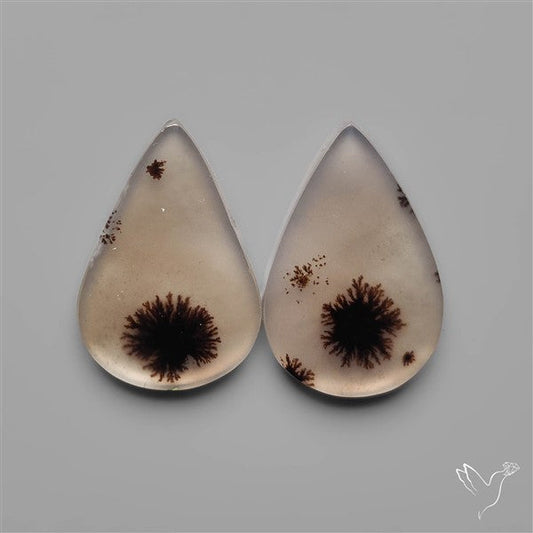 Scenic Dendritic Agates Pair