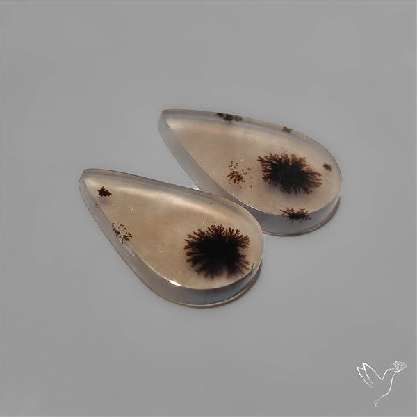 Scenic Dendritic Agates Pair