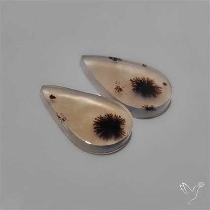 Scenic Dendritic Agates Pair