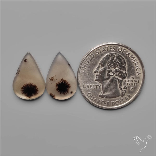 Scenic Dendritic Agates Pair