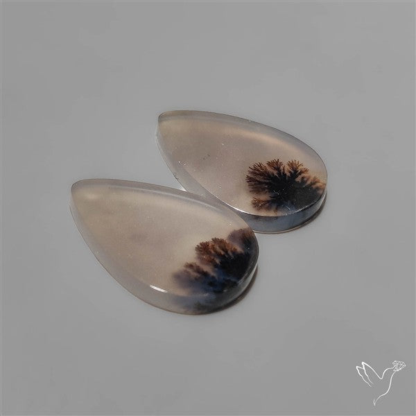 Scenic Dendritic Agates Pair
