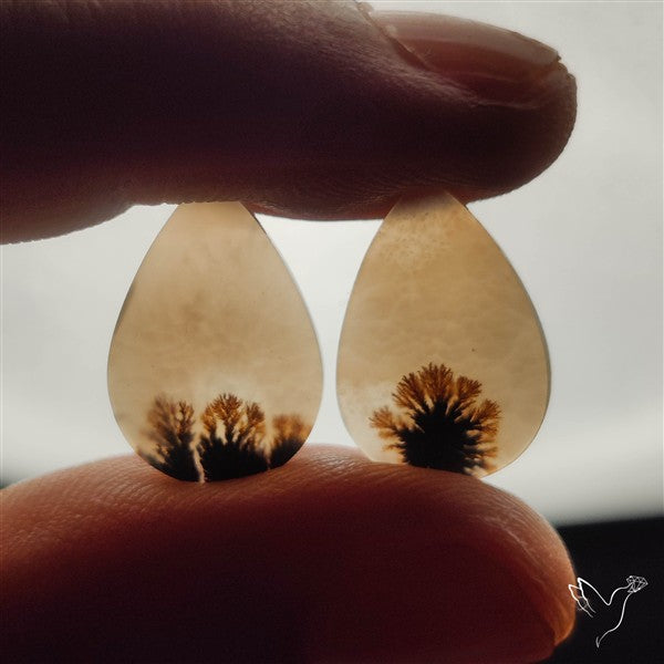 Scenic Dendritic Agates Pair