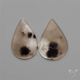 Scenic Dendritic Agates Pair