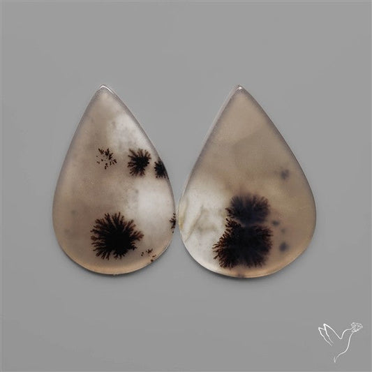 Scenic Dendritic Agates Pair
