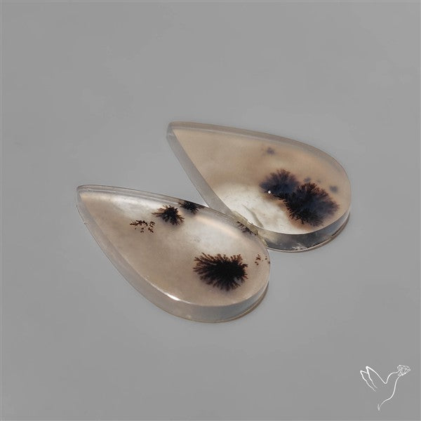 Scenic Dendritic Agates Pair