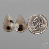 Scenic Dendritic Agates Pair