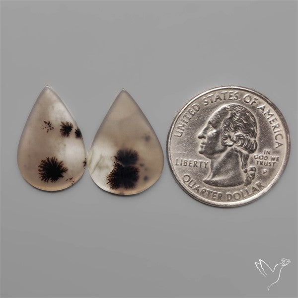 Scenic Dendritic Agates Pair