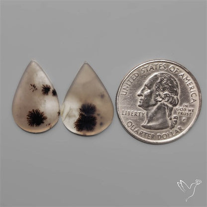 Scenic Dendritic Agates Pair