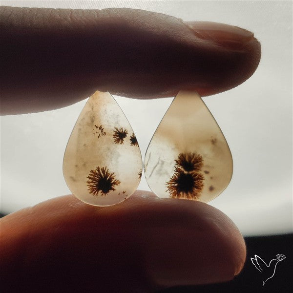 Scenic Dendritic Agates Pair