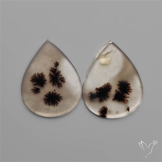 Scenic Dendritic Agates Pair