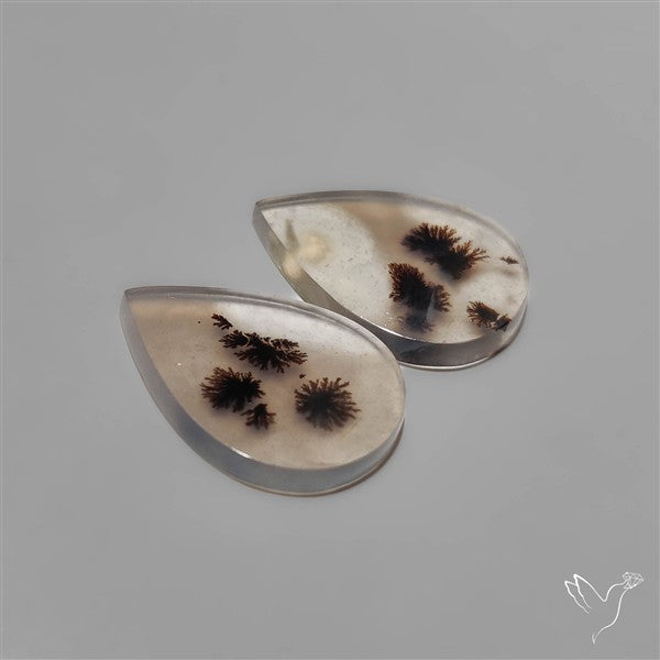 Scenic Dendritic Agates Pair