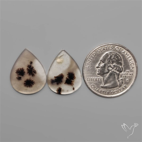 Scenic Dendritic Agates Pair