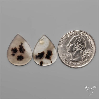 Scenic Dendritic Agates Pair