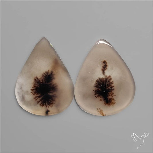 Scenic Dendritic Agates Pair