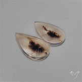Scenic Dendritic Agates Pair