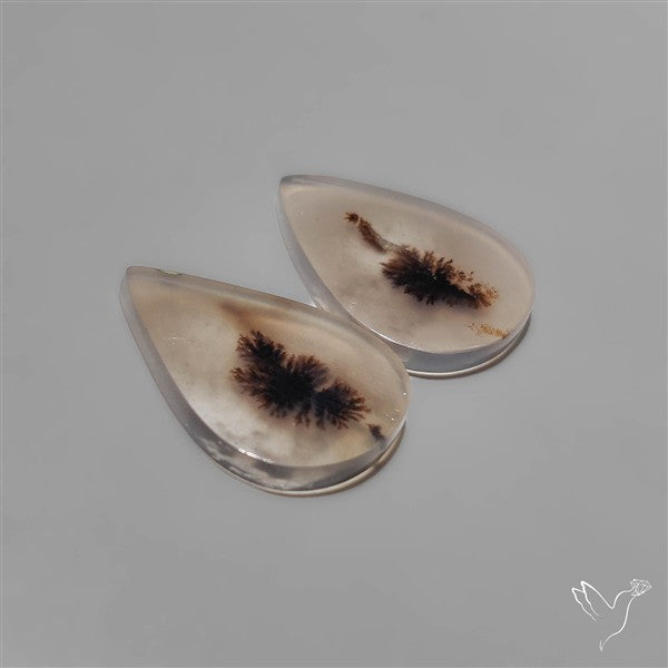 Scenic Dendritic Agates Pair