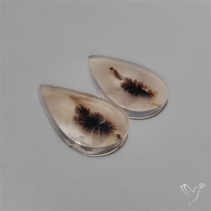 Scenic Dendritic Agates Pair