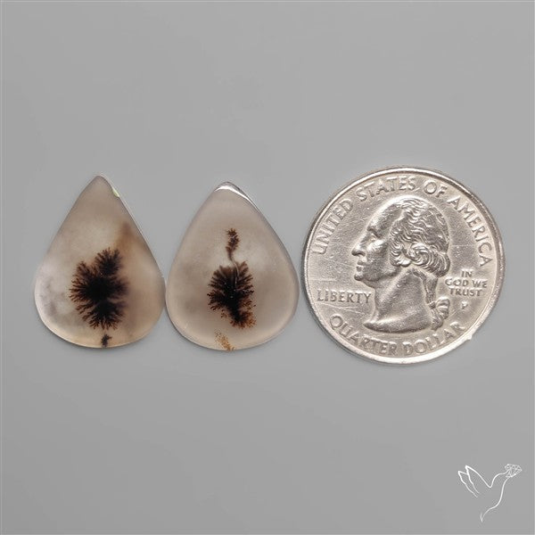 Scenic Dendritic Agates Pair