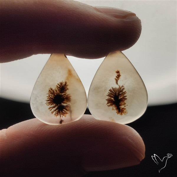 Scenic Dendritic Agates Pair