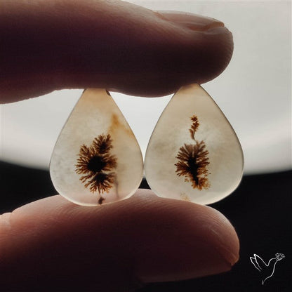 Scenic Dendritic Agates Pair