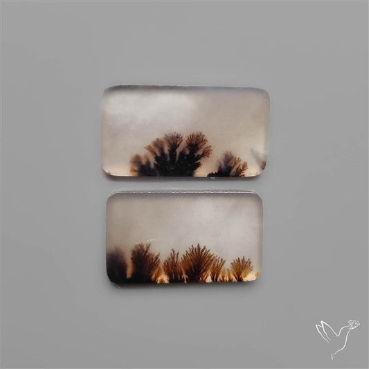 Scenic Dendritic Agates Pair
