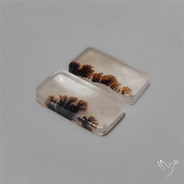 Scenic Dendritic Agates Pair