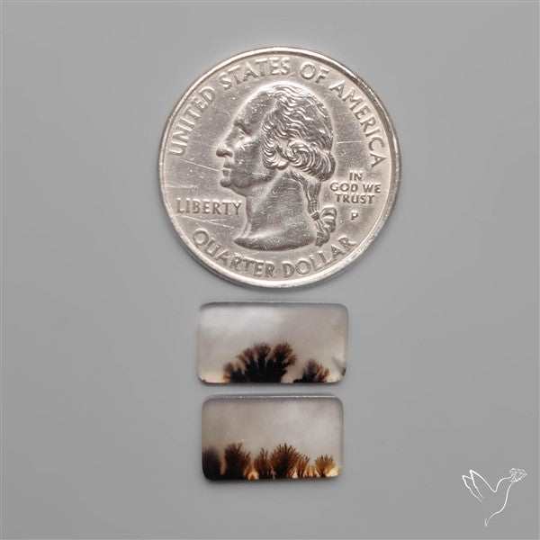 Scenic Dendritic Agates Pair
