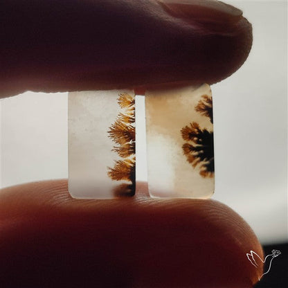 Scenic Dendritic Agates Pair