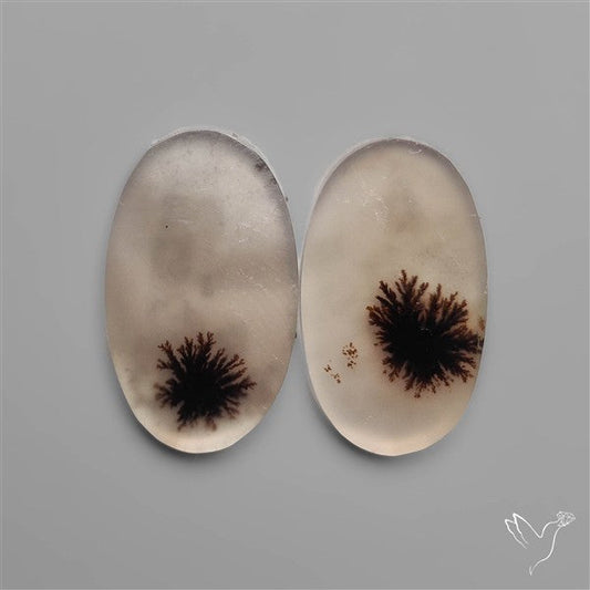 Scenic Dendritic Agates Pair