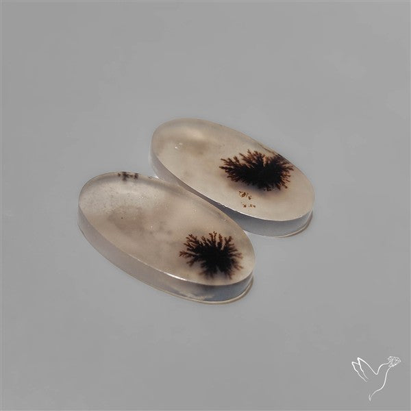 Scenic Dendritic Agates Pair