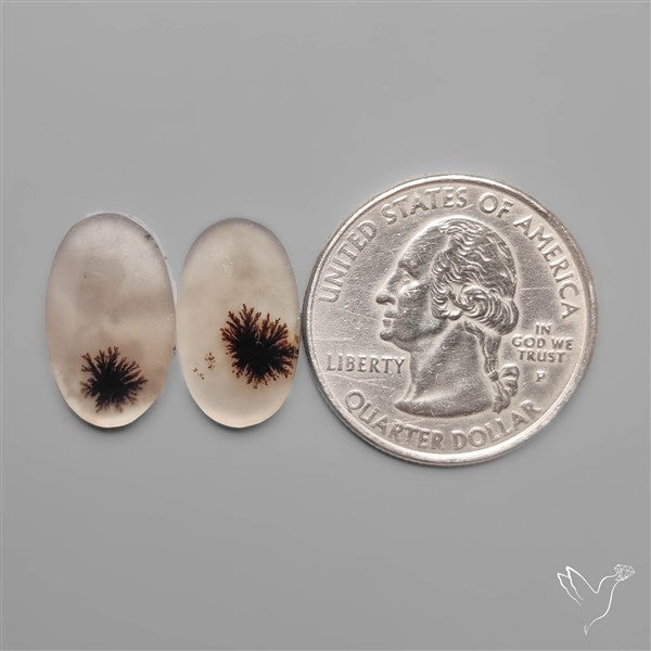 Scenic Dendritic Agates Pair