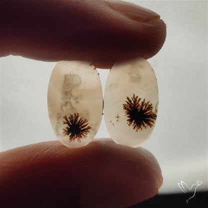 Scenic Dendritic Agates Pair