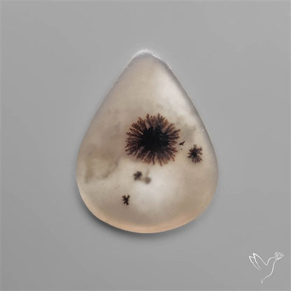 Selected Scenic Dendritic Agate