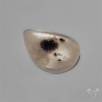 Selected Scenic Dendritic Agate