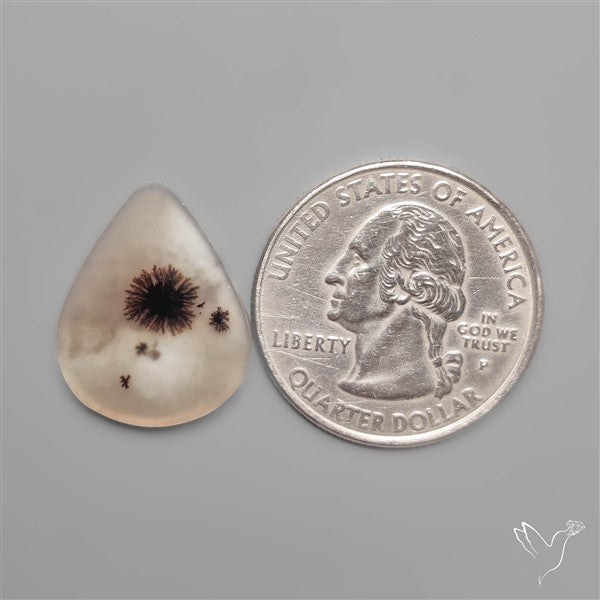 Selected Scenic Dendritic Agate