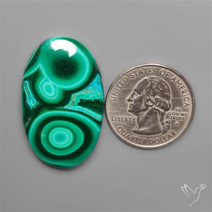 Chrysocolla In Malachite Cabochon