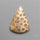 Fossil Coral Cabochon