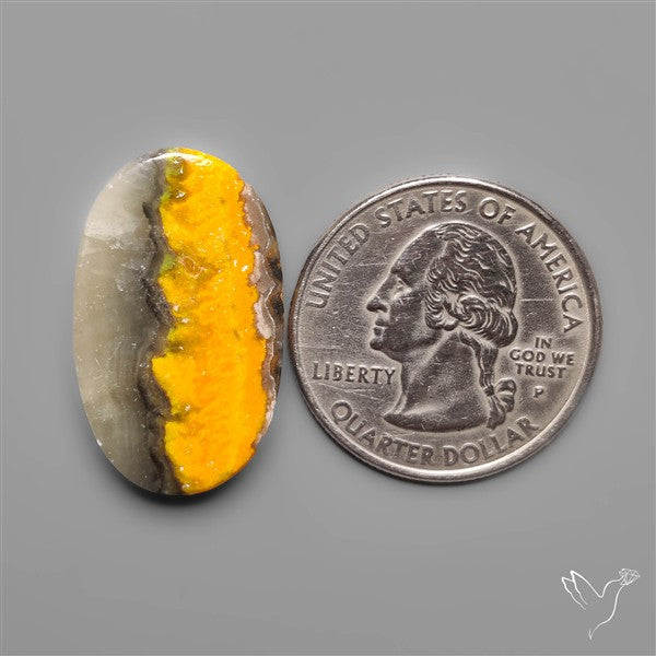 Bumble Bee Jasper with Quartz