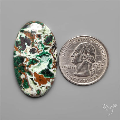 Parrot Wing Chrysocolla Cabochon