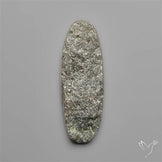 Rare Lodolite Quartz with Golden Rutile Inclusions